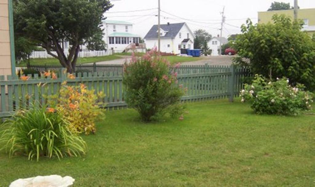 Gite La Ptite Falaise Hebergement Touristique Sainte Anne-des-Chênes エクステリア 写真