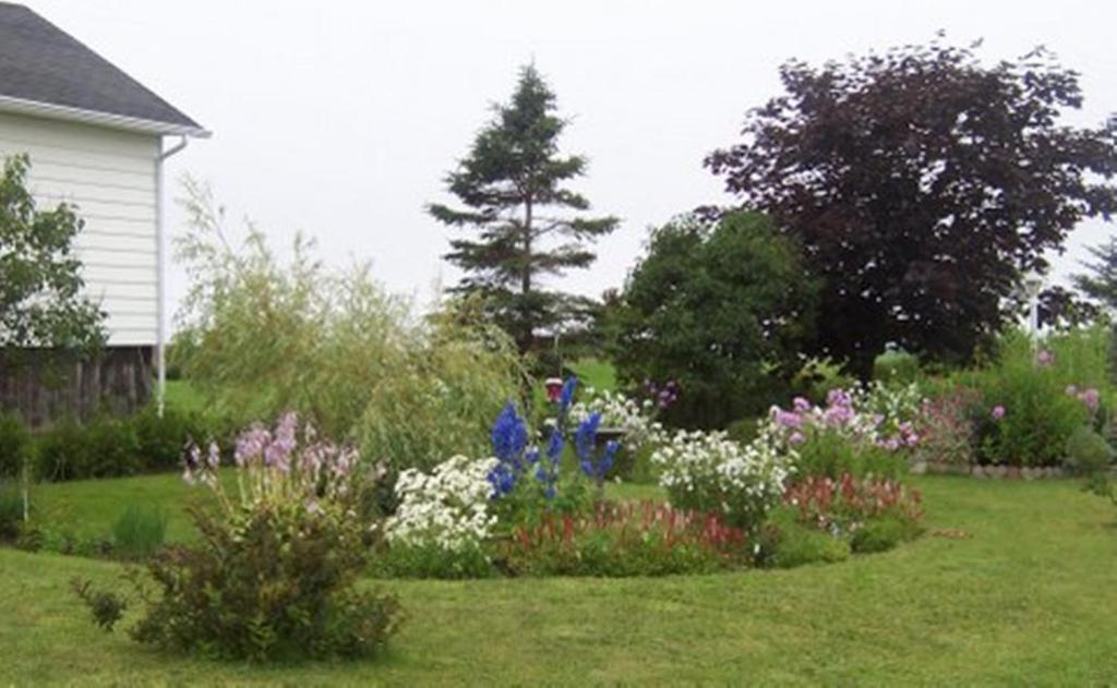 Gite La Ptite Falaise Hebergement Touristique Sainte Anne-des-Chênes エクステリア 写真
