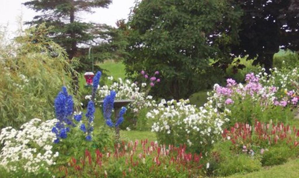Gite La Ptite Falaise Hebergement Touristique Sainte Anne-des-Chênes エクステリア 写真