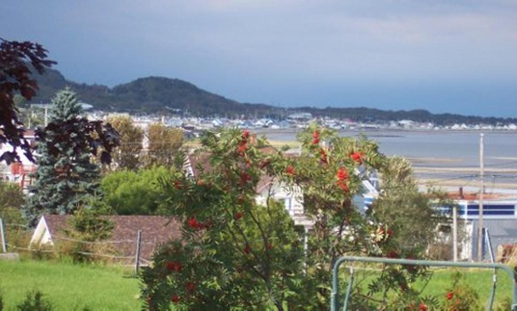 Gite La Ptite Falaise Hebergement Touristique Sainte Anne-des-Chênes エクステリア 写真