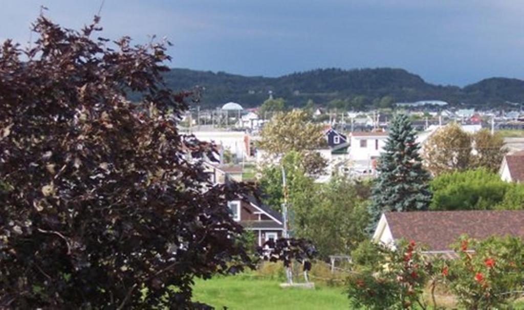 Gite La Ptite Falaise Hebergement Touristique Sainte Anne-des-Chênes エクステリア 写真