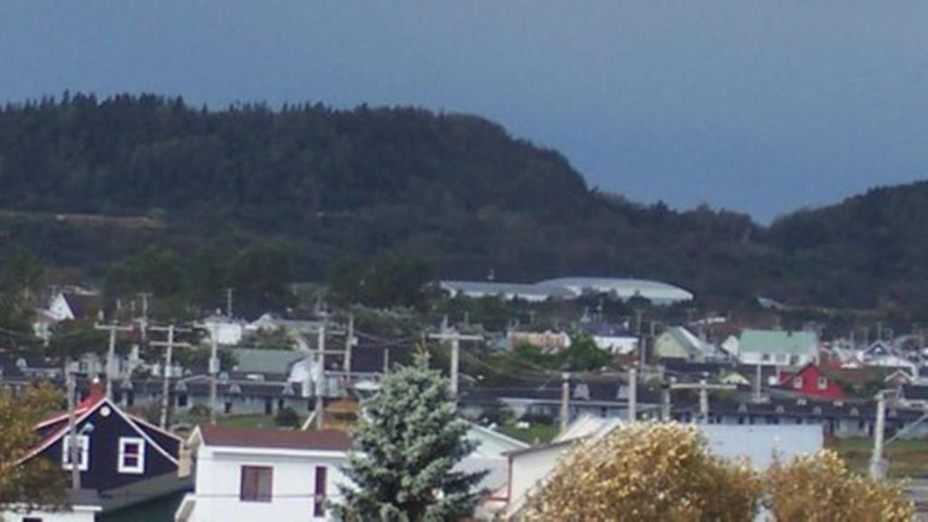 Gite La Ptite Falaise Hebergement Touristique Sainte Anne-des-Chênes エクステリア 写真